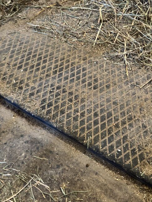 4 große Boxenmatten, Anna, Horse & Stable Mats, Bad Endbach, Image 3