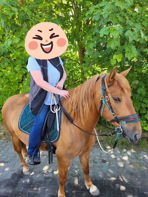4 Jährige Lusitano Mix Stute sucht neues Zuhause, Katrin , Konie na sprzedaż, Riedenburg