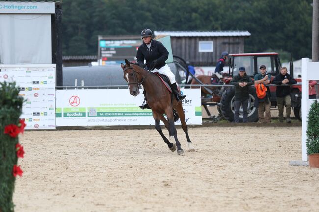 4-jähriger Wallach mit Cassini I-Abstammung – Souveräner Nachwuchs-Star für Springen&Vielseitigkeit, Jasmin Harrer, Horses For Sale, Hof, Image 12