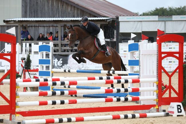 4-jähriger Wallach mit Cassini I-Abstammung – Souveräner Nachwuchs-Star für Springen&Vielseitigkeit, Jasmin Harrer, Horses For Sale, Hof
