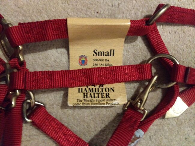 4 x Halfter Harburger Hamilton neu, Hamilton  Arabian small, Chriss, Halters, Weyhe, Image 3