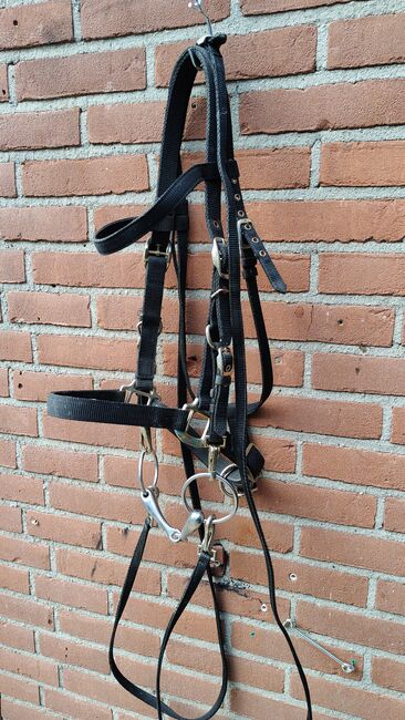 4 hoofdstellen en extra bit, Imperial riding , Mickey, Trensen, 's-Heerenberg