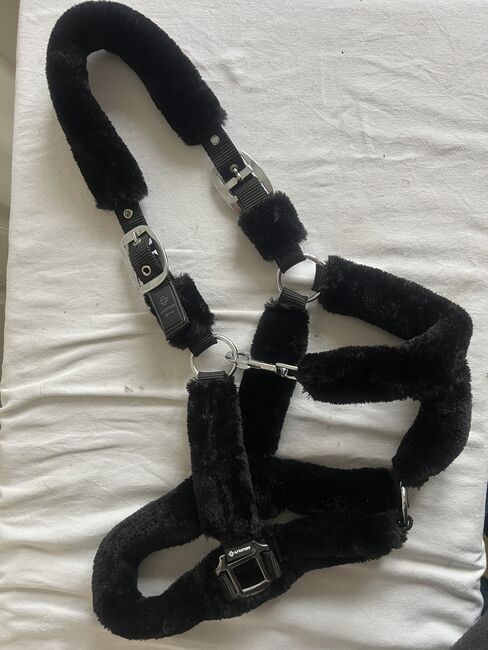 4HORSES, Plüschi-Halfter, COB, schwarz, Neu, 4HORSES Plüschi-Halfter, Gaby Lais, Kantary, Malsburg-Marzell