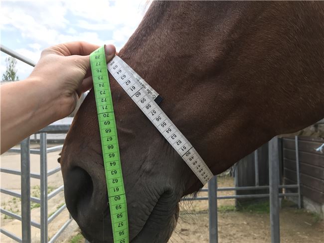 5/8 Bosal schwarz-weiß, Tackroom Ratingen, Ursie, Gebisslose Zäumungen, Reutlingen, Abbildung 4