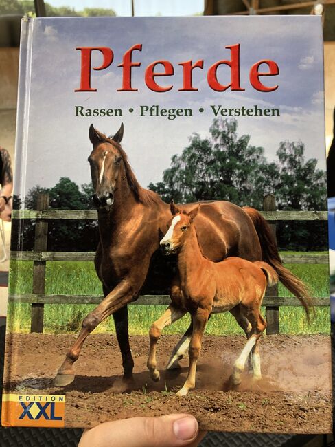 5 Bücher Pferde und Training, Nancy , Books, Dautphetal