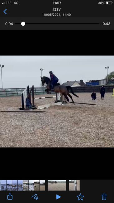 5* home awaiting - BRANDIE, Brogan Barlow, Pferd kaufen, Lancashire , Abbildung 5