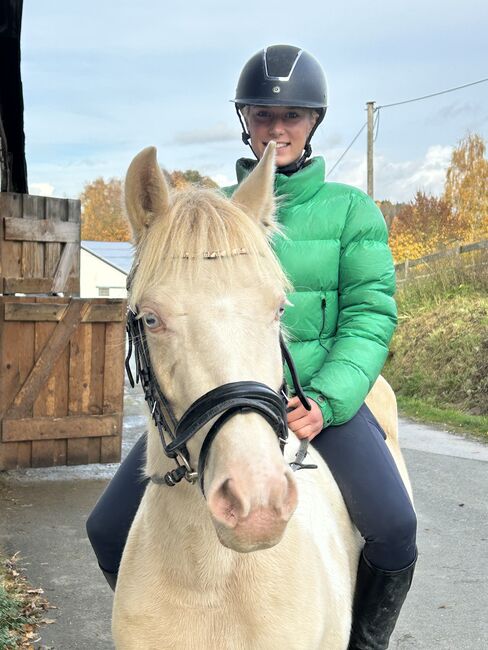 5- jähriges hübsches Kinderpony!, Jeannine Piekenbrock, Pferd kaufen, Meschede 