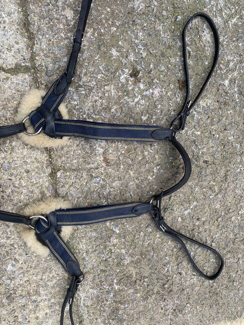 5 Point Breastplate, Becks northover, Saddle Accessories, Gloucester, Image 4