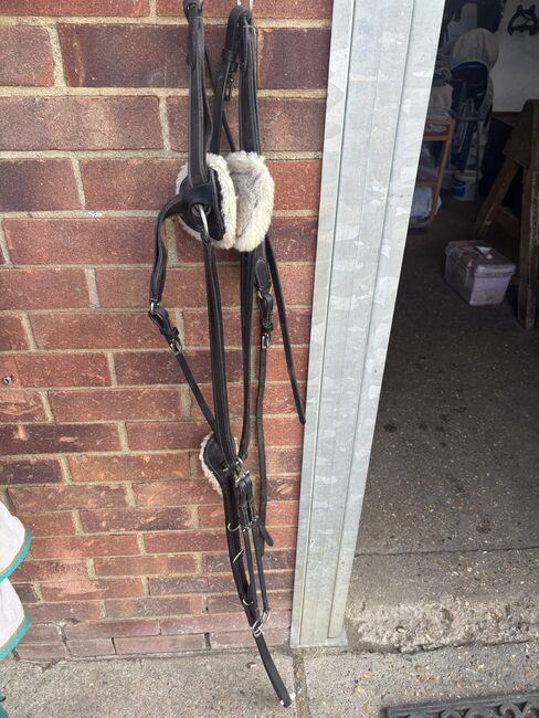 5 Point Breastplate, Shires  5 Point Breastplate Full Size , Naomi Harbour, For Horses, London