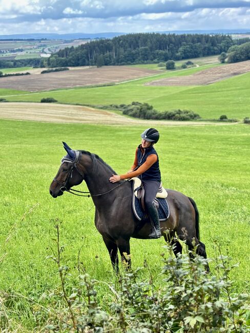 5 Jahre alter Hannoveraner Wallach sucht neue Aufgabe, Katja Huger, Horses For Sale, Bad Dürrheim, Image 8