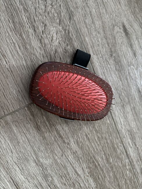 5x Sprenger Bürste Stall Mähnenbürste Pferdebürste NEU, Sprenger, MA, Grooming Brushes & Equipment, Göppingen