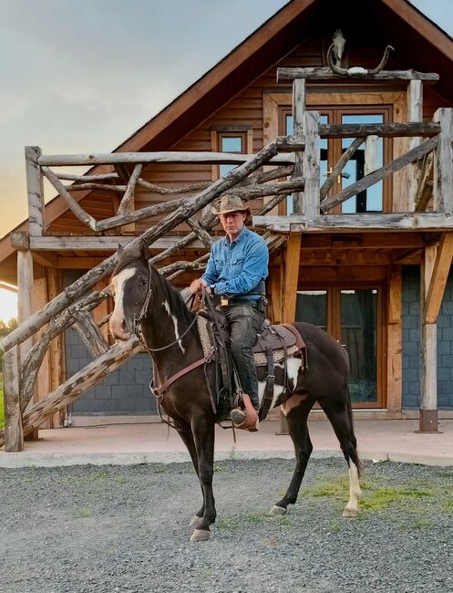 5yo 14.3hh, Eimear Daly, Pferd kaufen, Co. Westmeath