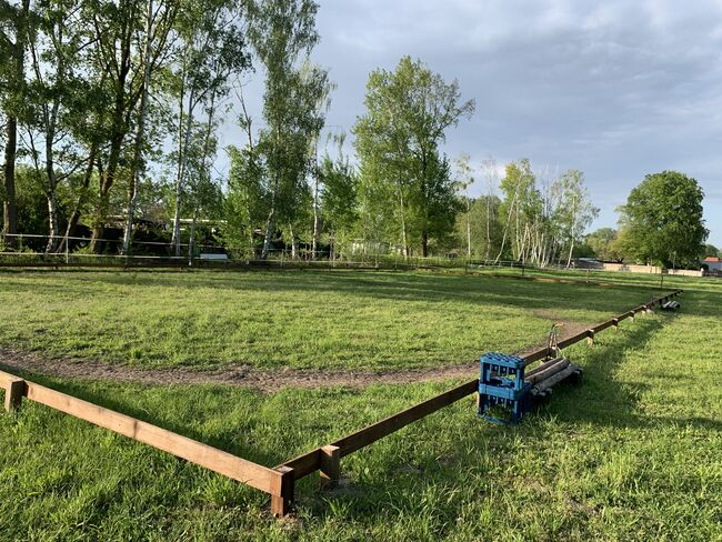 6 freie Offenstallplätze - nur Stuten! Keine Rehepferde., Charlotte, Horse Stables, Panketal, Image 2