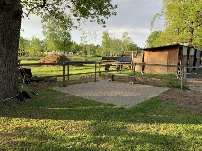 6 freie Offenstallplätze - nur Stuten! Keine Rehepferde., Charlotte, Horse Stables, Panketal, Image 3