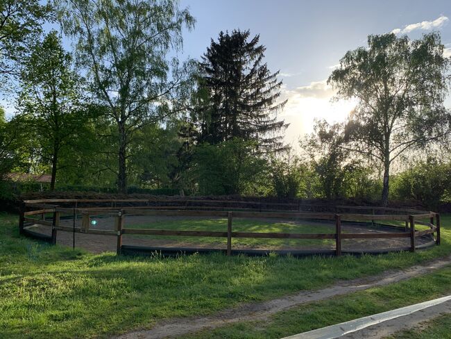 6 freie Offenstallplätze - nur Stuten! Keine Rehepferde., Charlotte, Horse Stables, Panketal, Image 4