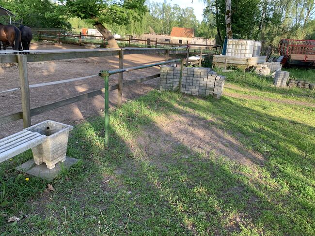 6 freie Offenstallplätze - nur Stuten! Keine Rehepferde., Charlotte, Horse Stables, Panketal, Image 5