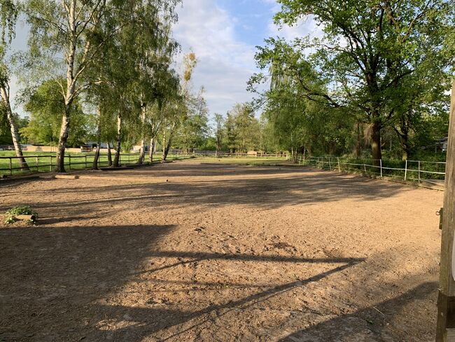 6 freie Offenstallplätze - nur Stuten! Keine Rehepferde., Charlotte, Horse Stables, Panketal, Image 8