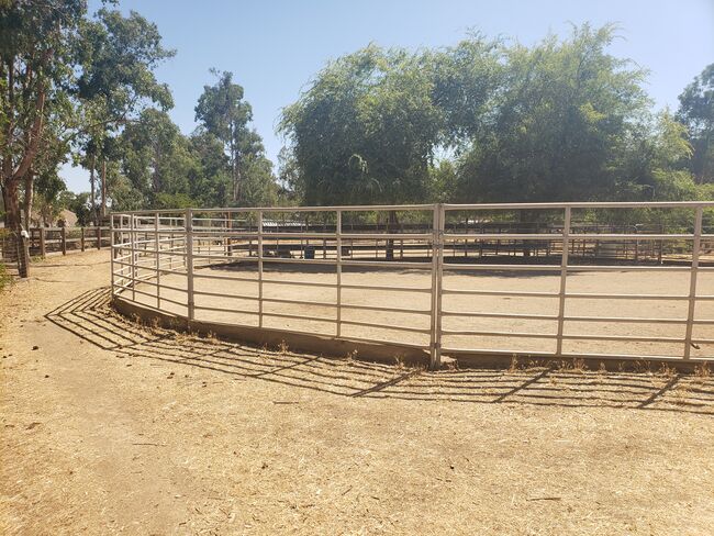 60' Heavy Duty Galvanized Round Pen, Chandra , Reitplatz, Herald , Abbildung 2