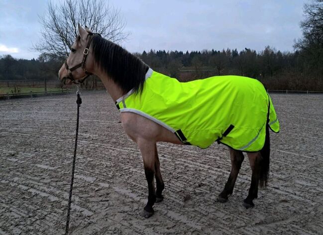 600D Walker Führanlagendecke 125 135 145 neongelb REFLEX 100g 3000mm, BTS Bywater International Clothing 600D Neon Reflex Walker Führanlagendecke 100g, Reitartikelbörse (Reitartikelbörse - Onlineshop für Wanderreiter), Derki dla konia, Grevenbroich