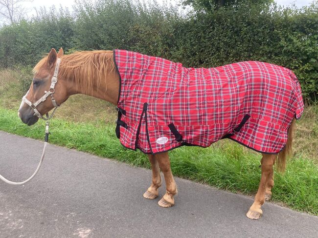 600D eQuiTack Regendecke Highneck 125 145 155 rot kariert mit Polar Fleece 3000mm, EquiTack 600D Regendecke mit Polarfleece, Reitartikelbörse (Reitartikelbörse - Onlineshop für Wanderreiter), Horse Blankets, Sheets & Coolers, Grevenbroich