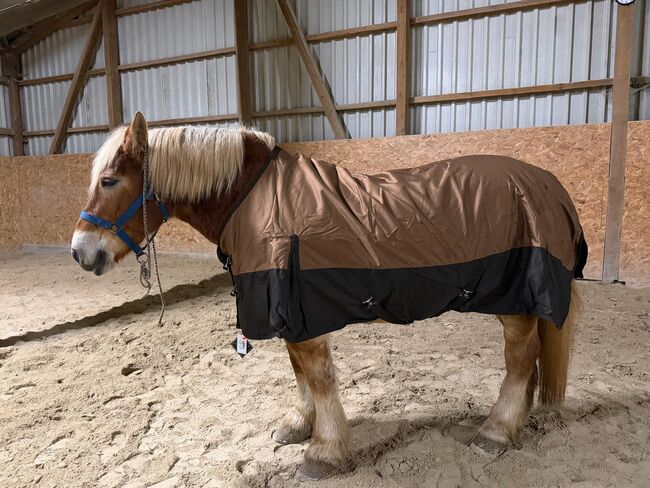 600D KALTBLUT Regendecke 185cm Outdoordecke m. Fleece braun beige 3000mm, BTS Bywater International Clothing Kaltblut Regendecke mit Fleece, Reitartikelbörse (Reitartikelbörse - Onlineshop für Wanderreiter), Pferdedecken, Grevenbroich