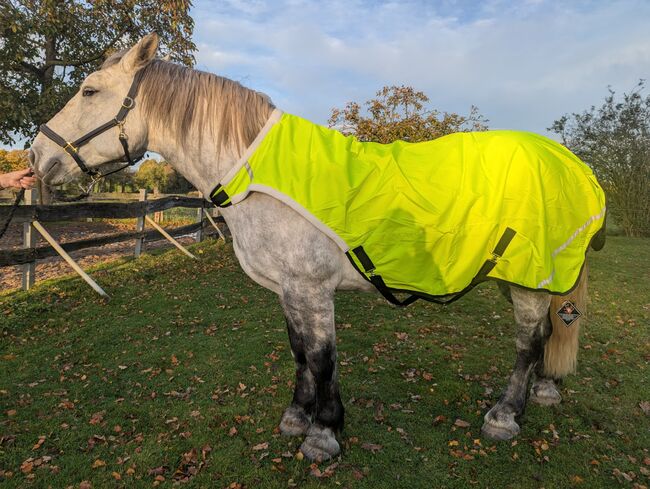 600D Walker Führanlagendecke KALTBLUT 175 neongelb REFLEX 100g 3000mm, BTS Bywater International Clothing Walker Führanlagendecke, Reitartikelbörse (Reitartikelbörse - Onlineshop für Wanderreiter), Horse Blankets, Sheets & Coolers, Grevenbroich
