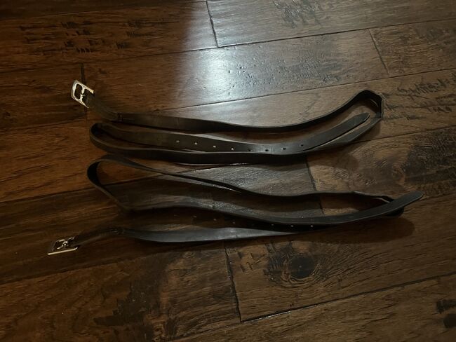 67 inch Courbette Stirrup Leathers, Courbette , Page Mayberry, Sattelzubehör, Greenville