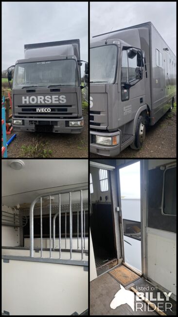 7.5 T horse box, Iveco Ford, Danni, Przyczepa konna, Hailsham, Image 12