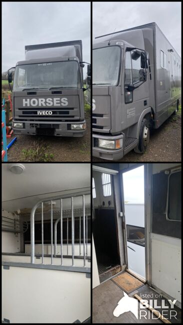 7.5 T horse box, Iveco Ford, Danni, Horse Trailers, Hailsham, Image 12