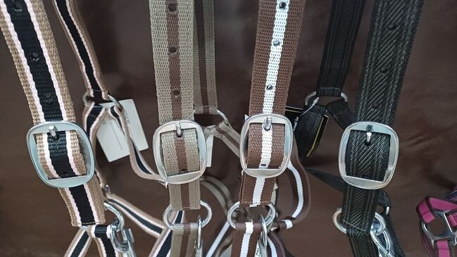 7,50€% REDUZIERT PP Halfter COB Dornschnalle lila blau braun schwarz gold grau bordo, BTS Bywater  COB Halfter PP mit Dornschnalle, Reitartikelbörse (Reitartikelbörse - Onlineshop für Wanderreiter), Halters, Grevenbroich, Image 13