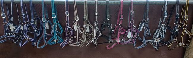 7,50€% REDUZIERT PP Halfter COB Dornschnalle lila blau braun schwarz gold grau bordo, BTS Bywater  COB Halfter PP mit Dornschnalle, Reitartikelbörse (Reitartikelbörse - Onlineshop für Wanderreiter), Halters, Grevenbroich, Image 12