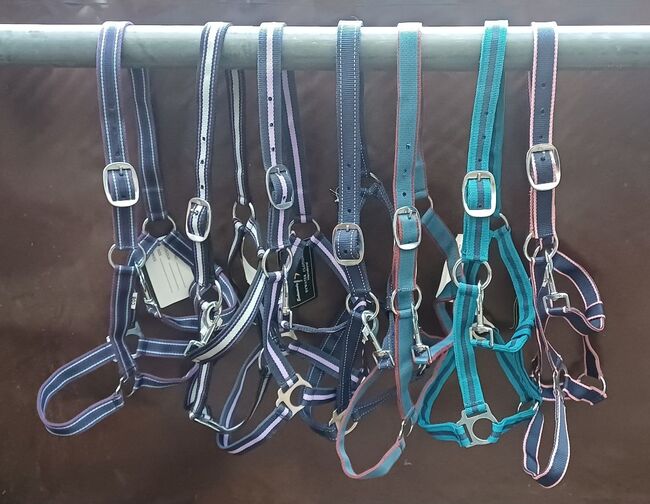 7,50€% REDUZIERT PP Halfter COB Dornschnalle lila blau braun schwarz gold grau bordo, BTS Bywater  COB Halfter PP mit Dornschnalle, Reitartikelbörse (Reitartikelbörse - Onlineshop für Wanderreiter), Halters, Grevenbroich, Image 11