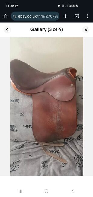 7 saddles in total, Kelly johnson , All Purpose Saddle, Jarrow, Image 3