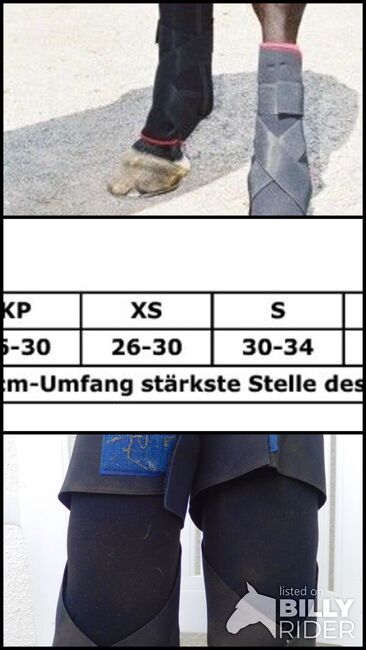 7160 TSM vet-Reha Fesselkopfbandage hinten, PJ, Ochraniacze, Ochsenausen, Image 4