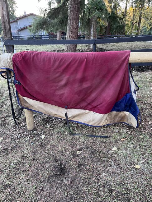 78” Bucas Power Extra 300gram fill - Free shipping, Bucas Power Extra, Krystle, Horse Blankets, Sheets & Coolers, Tacoma, Image 5