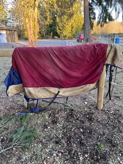 78” Bucas Power Extra 300gram fill - Free shipping, Bucas Power Extra, Krystle, Horse Blankets, Sheets & Coolers, Tacoma, Image 6