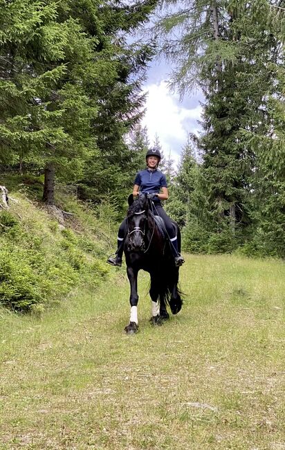 8 jähriger Sport/Freizeit Friese, Julia Reiter, Konie na sprzedaż, Weisskirchen, Image 3