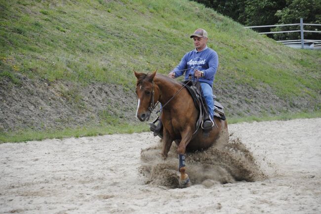 9 year old Gunnatrashya mare, Petra Herrmann, Konie na sprzedaż, Kerekeghyhaza , Image 5