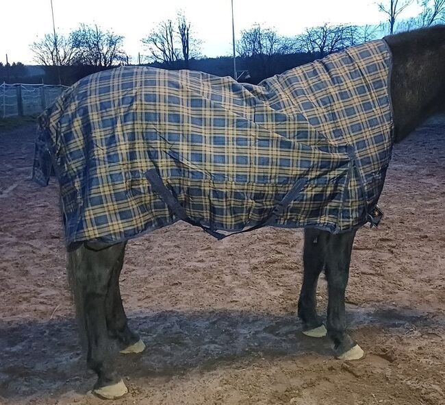 98,50€% REDUZIERT 600D HighNeck Regendecke m Fleece Blau Karo 125 135 145 155, EquiTack Regendecke mit Fleece, Reitartikelbörse (Reitartikelbörse - Onlineshop für Wanderreiter), Horse Blankets, Sheets & Coolers, Grevenbroich