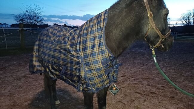 98,50€% REDUZIERT 600D HighNeck Regendecke m Fleece Blau Karo 125 135 145 155, EquiTack Regendecke mit Fleece, Reitartikelbörse (Reitartikelbörse - Onlineshop für Wanderreiter), Horse Blankets, Sheets & Coolers, Grevenbroich, Image 16