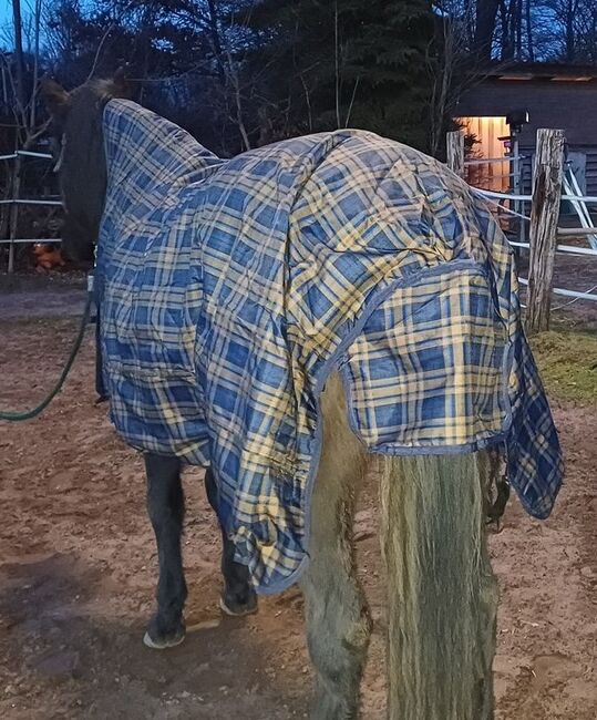 98,50€% REDUZIERT 600D HighNeck Regendecke m Fleece Blau Karo 135 145 155, EquiTack Regendecke mit Fleece, Reitartikelbörse (Reitartikelbörse - Onlineshop für Wanderreiter), Horse Blankets, Sheets & Coolers, Grevenbroich, Image 14