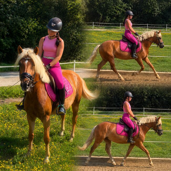 Bildhübscher Haflinger Wallach, Anna Bischof, Horses For Sale, Sankt Peter am Kammersberg