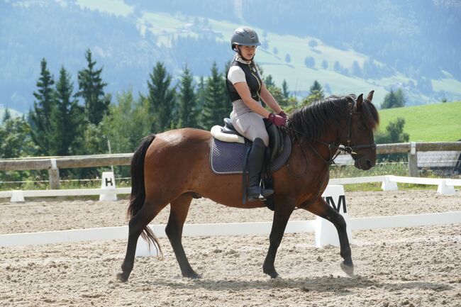 Ein Professor mit Elan, Irene Zimmermann, Horses For Sale, Ramsau am Dachstein