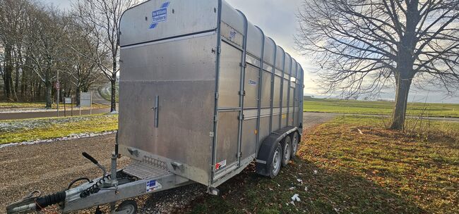 Ifor Williams Anhänger, Ifor Williams  Ta510, Privater Anbieter , Horse Trailers, Karlsruhe