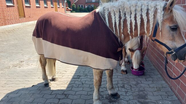 Abschwitzdecke, Kathi, Horse Blankets, Sheets & Coolers, Vechta, Image 2