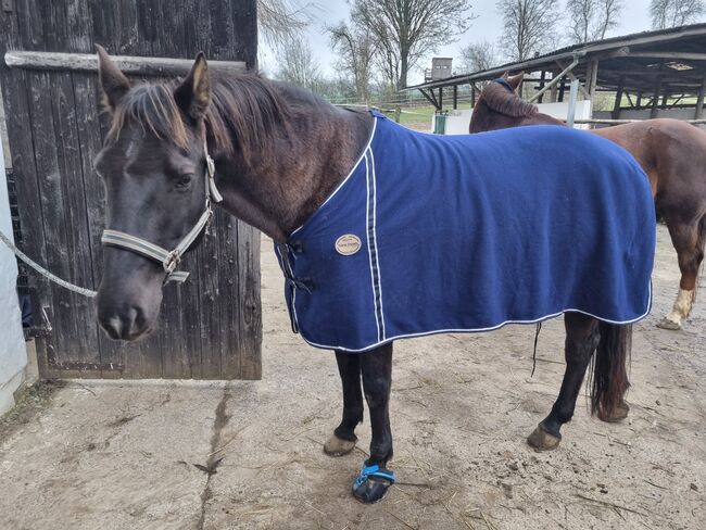 Abschwitzdecke, Horse friends , Danielle Olbrich, Pferdedecken, Reiskirchen, Abbildung 4