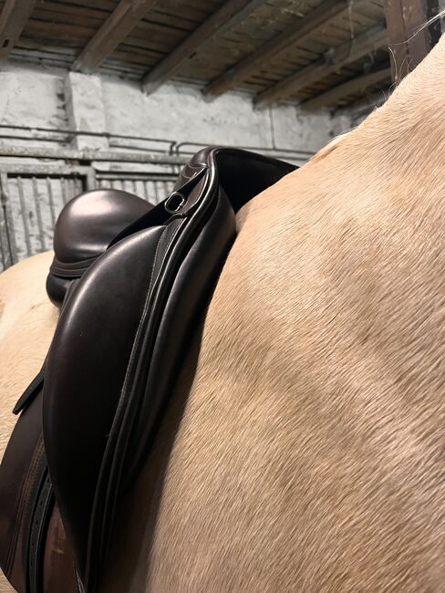 Absolutes Schnäppchen! Selleria Equipe Olymp Dressursattel braun 17', Selleria Equipe Olymp, Lynn Marie, Dressage Saddle, Image 4