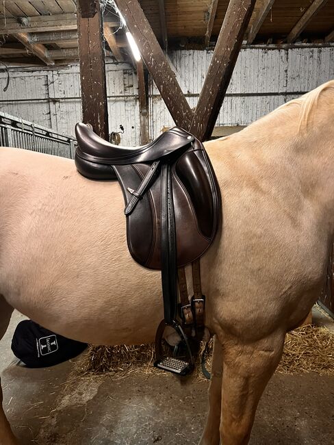 Absolutes Schnäppchen! Selleria Equipe Olymp Dressursattel braun 17', Selleria Equipe Olymp, Lynn Marie, Dressage Saddle, Image 10
