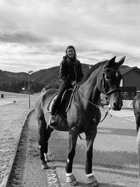 Absolutes Herzenspferd abzugeben, Corinna, Horses For Sale, Mondsee, Image 5