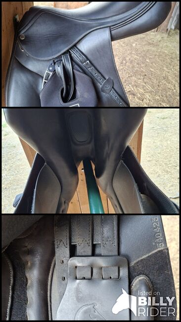 Acavallo Bernini VS Sattel, Acavallo  Bernini , Sonja Auckenthaler, All Purpose Saddle, Stainz, Image 4